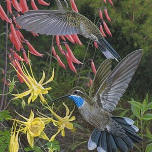 Two hummingbirds flying over a flower bush.