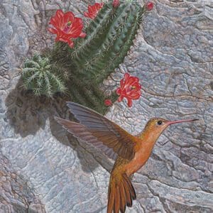 A painting of a hummingbird and cactus