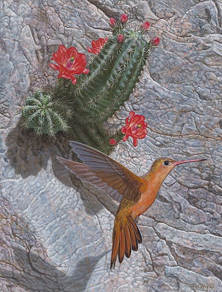 A painting of a hummingbird and cactus