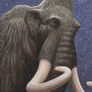 A painting of an elephant with tusks and long hair.