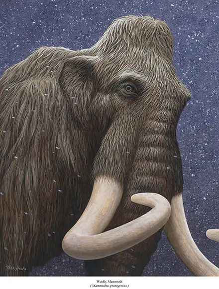 A painting of an elephant with tusks and long hair.