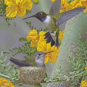 A painting of two hummingbirds in the nest