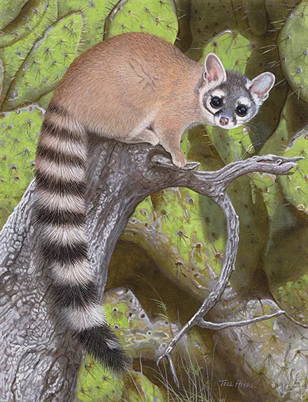 A small animal sitting on top of a tree branch.