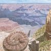 A painting of the grand canyon and a snake.
