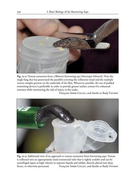 A snake is drinking from a bottle of water.
