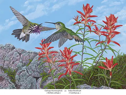 A painting of two hummingbirds flying over flowers.