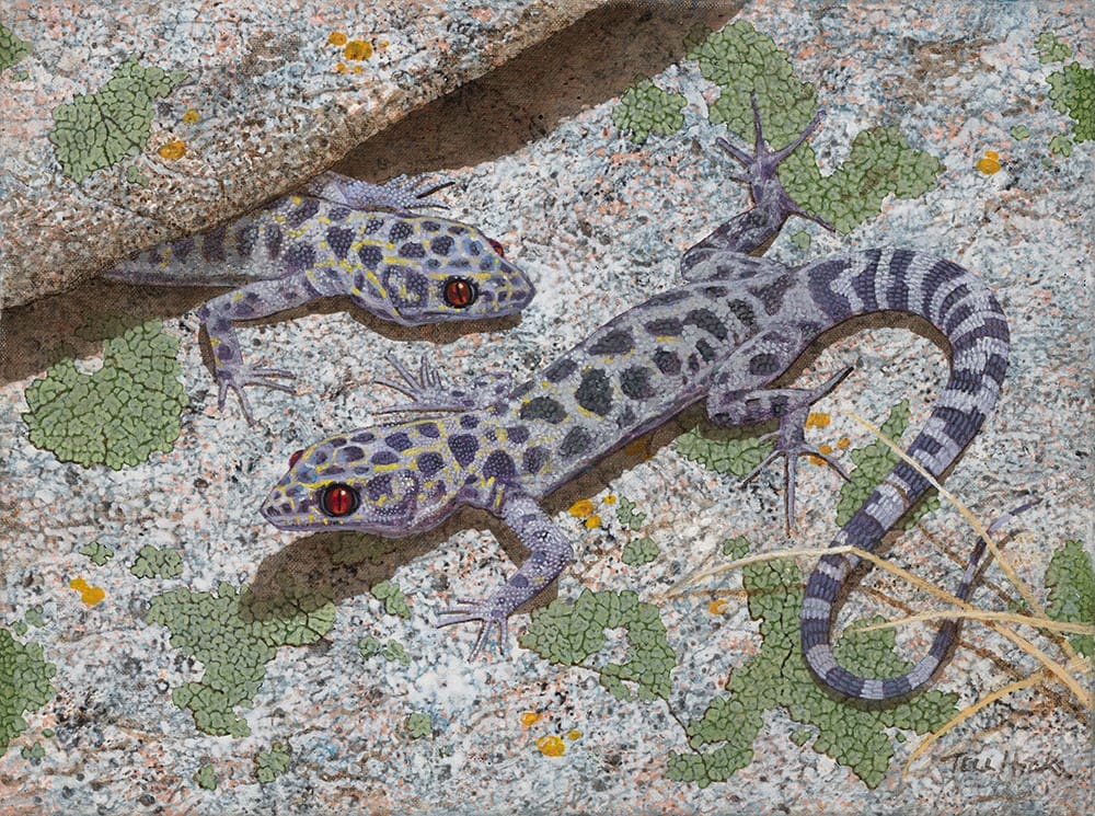 Two lizards are sitting on the ground together.