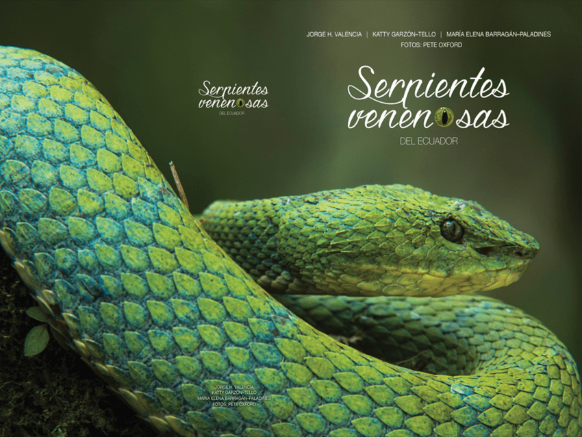 A green snake is sitting on the cover of a book.