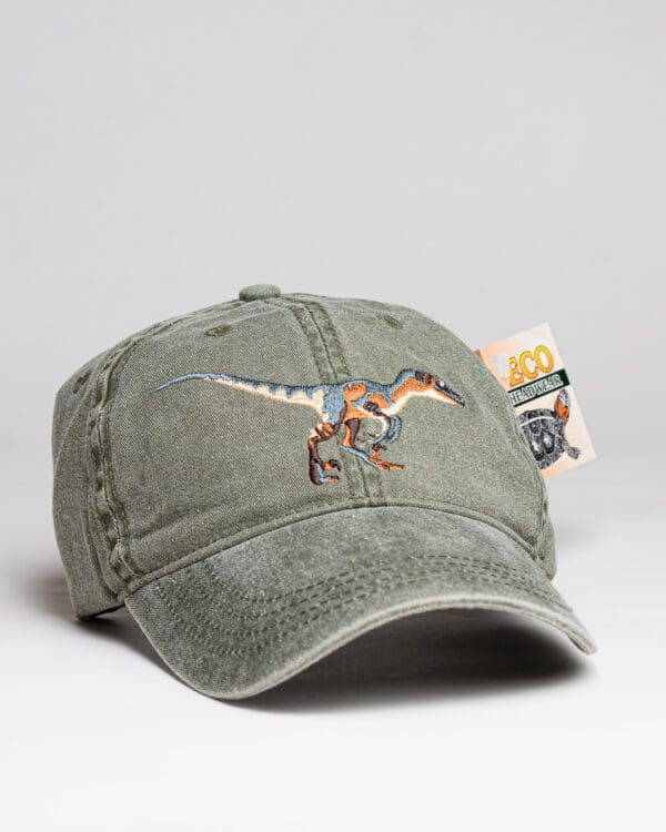 A hat with an embroidered dinosaur on it.