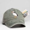 A hat that has been altered to look like an animal.