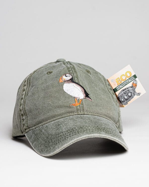 A hat that has been altered to look like an animal.