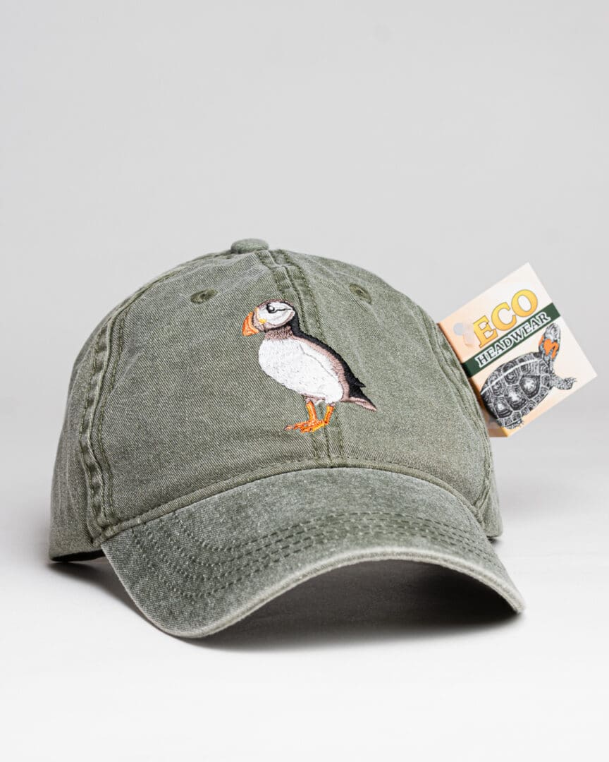 Amargosa Pupfish Cap - ECO Wear & Publishing, Inc.