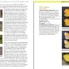 A page of the book with pictures and descriptions.