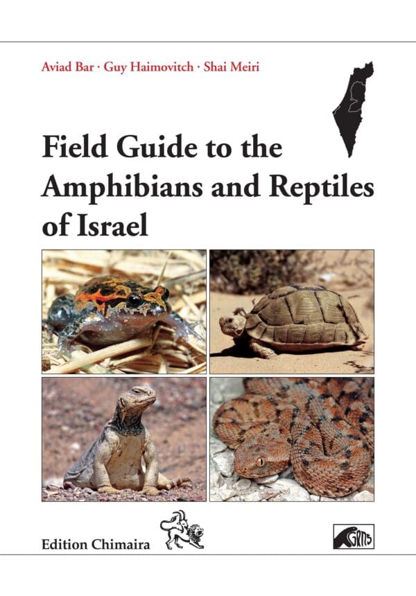 A field guide to the amphibians and reptiles of israel