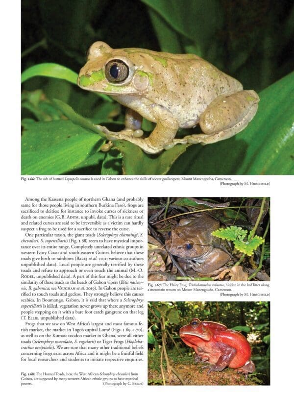 A page of an article about frogs.