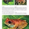 A page of an article about frogs and toads.