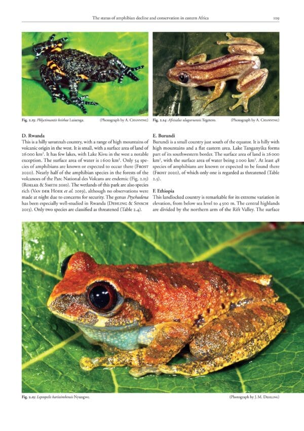 A page of an article about frogs and toads.