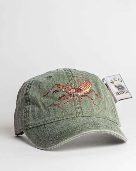 A green hat with an embroidered spider on it.