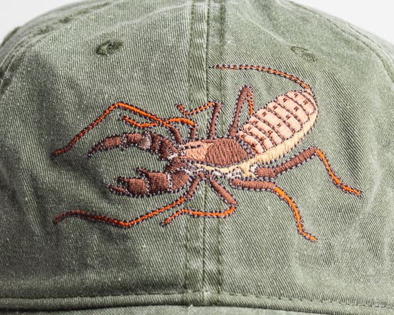 A close up of the back of a baseball cap