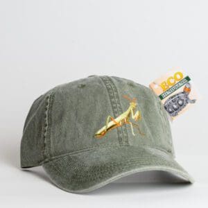 A green hat with a gold lightning bolt on it.