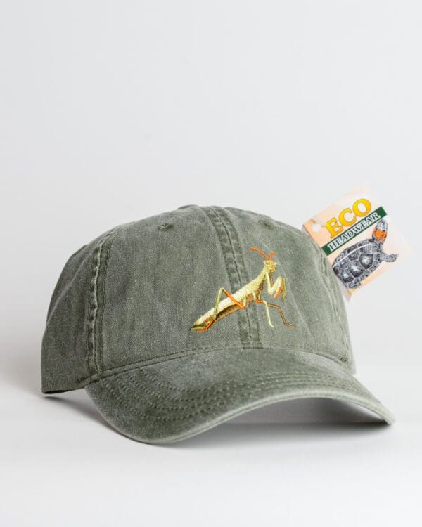 A green hat with a gold lightning bolt on it.