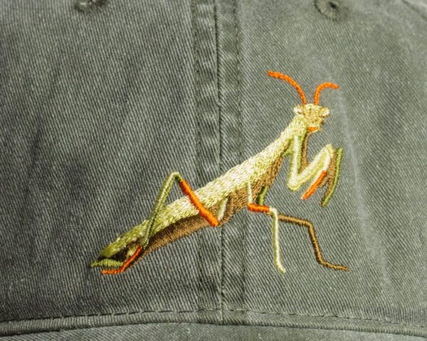 A close up of the praying mantis on a hat