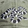 A close up of the snake on a hat