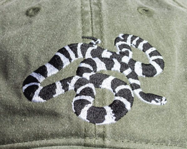 A close up of the snake on a hat