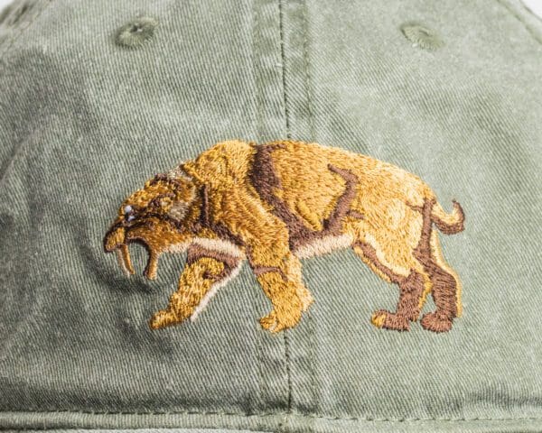 A close up of the bear embroidered on a hat