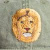A close up of the face of a lion