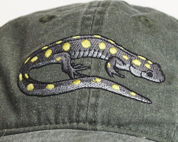 A close up of the lizard on a hat