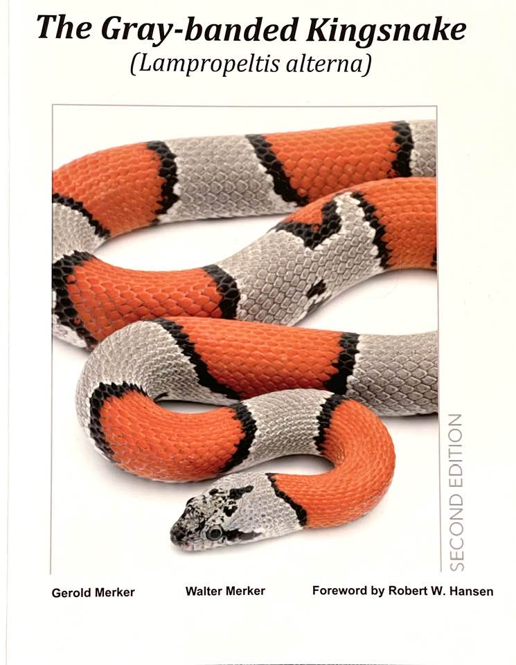 The Gray-banded Kingsnake ( Hard Cover - 2nd Edition) - ECO Wear &  Publishing, Inc.