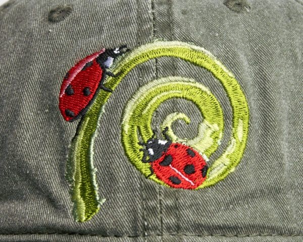 A close up of the ladybug on a hat