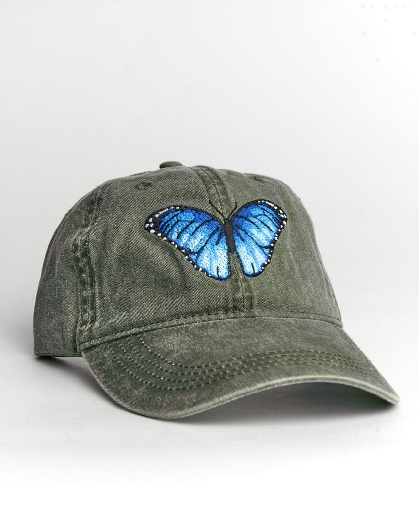 A green hat with a blue butterfly on it.