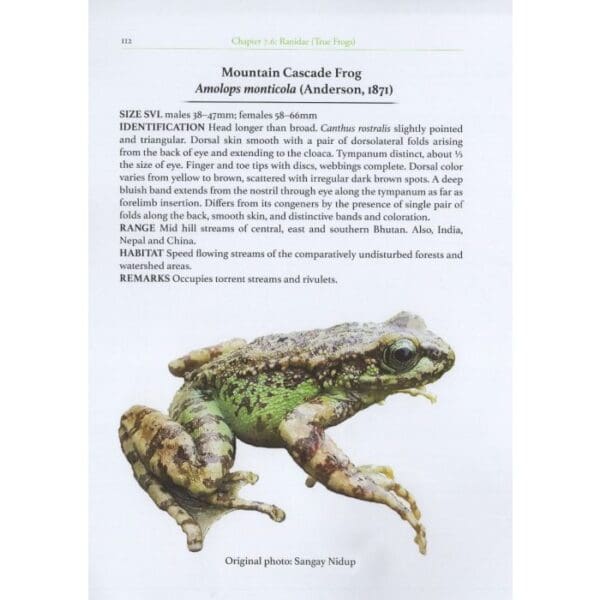 A page from the book of the common frog.
