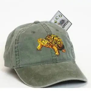 A green hat with a turtle on it.